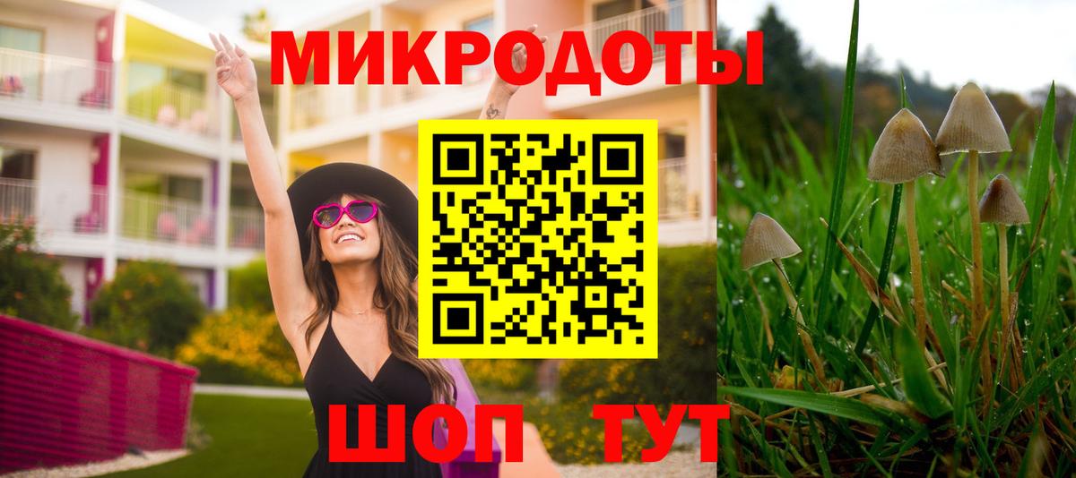 Псилоцибиновые грибы ЛСД Егорьевск