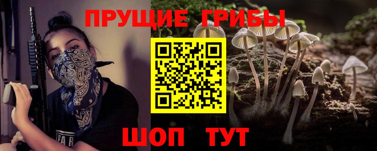 Галлюциногенные грибы Cubensis  Вход с VPN  Егорьевск 